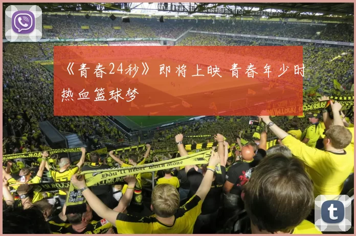 《青春24秒》即将上映 青春年少时热血篮球梦