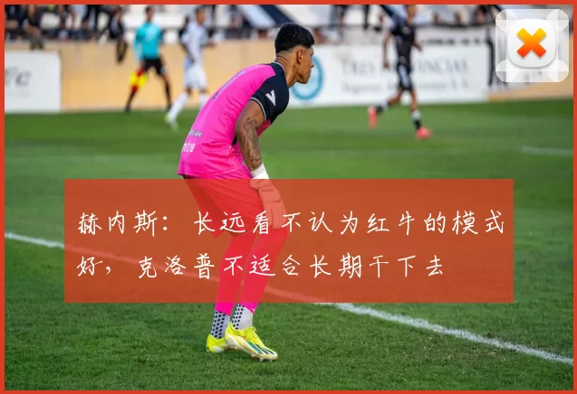 赫内斯：长远看不认为红牛的模式好，克洛普不适合长期干下去