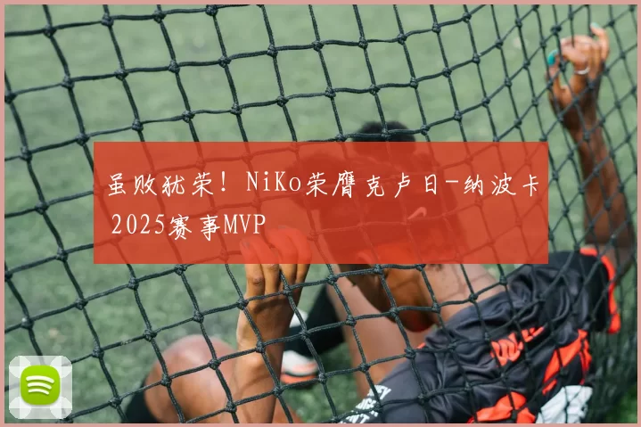 虽败犹荣！NiKo荣膺克卢日-纳波卡 2025赛事MVP