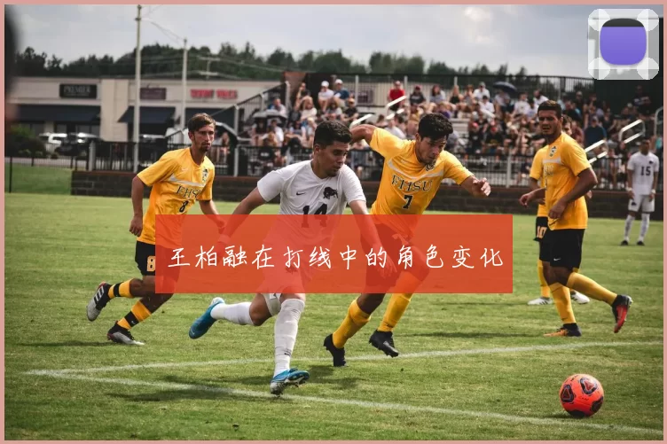 王柏融在打线中的角色变化