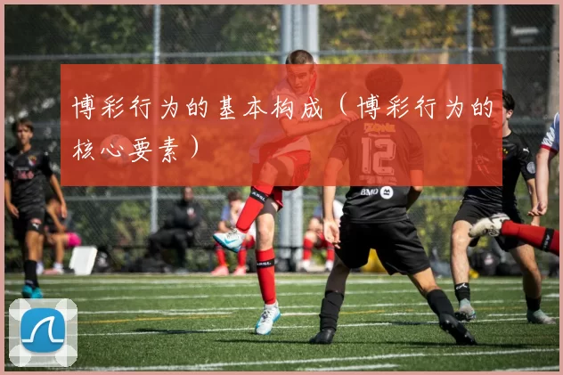 博彩行为的基本构成（博彩行为的核心要素）