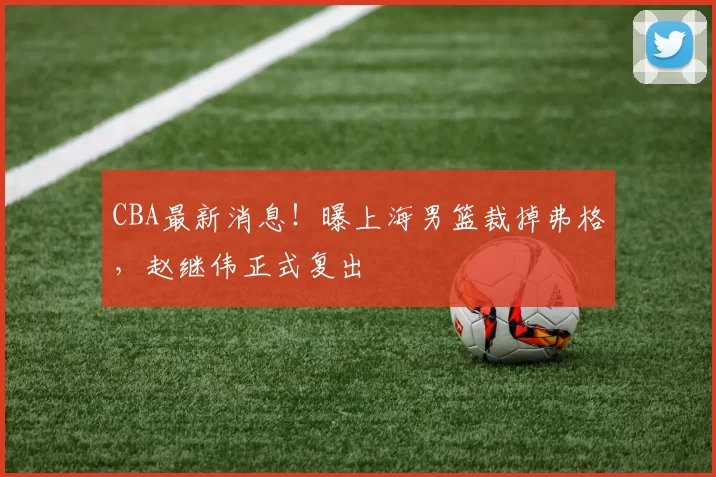 CBA最新消息！曝上海男篮裁掉弗格，赵继伟正式复出