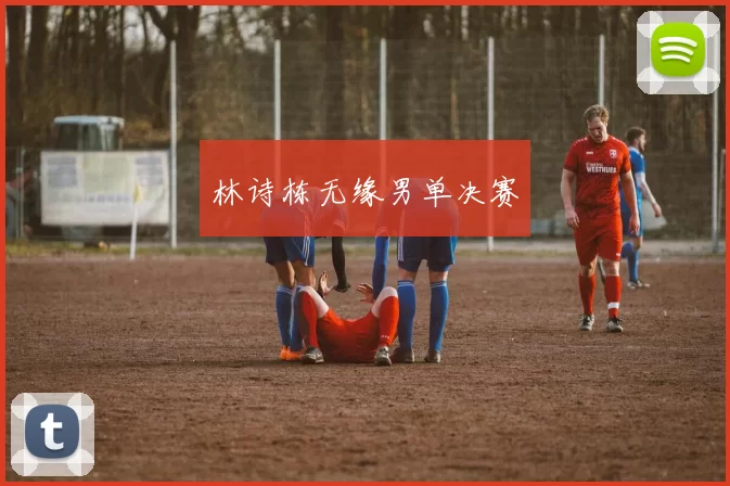 林诗栋无缘男单决赛