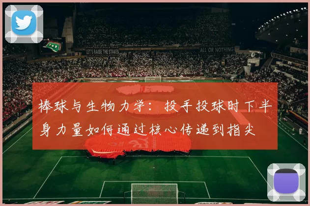 棒球与生物力学：投手投球时下半身力量如何通过核心传递到指尖