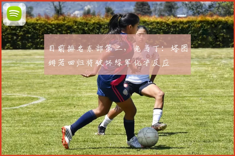 目前排名东部第二，老马丁：塔图姆若回归将破坏绿军化学反应