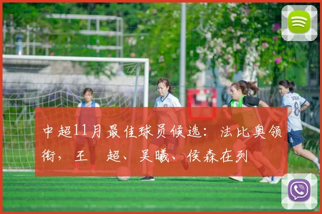 中超11月最佳球员候选：法比奥领衔，王燊超、吴曦、侯森在列