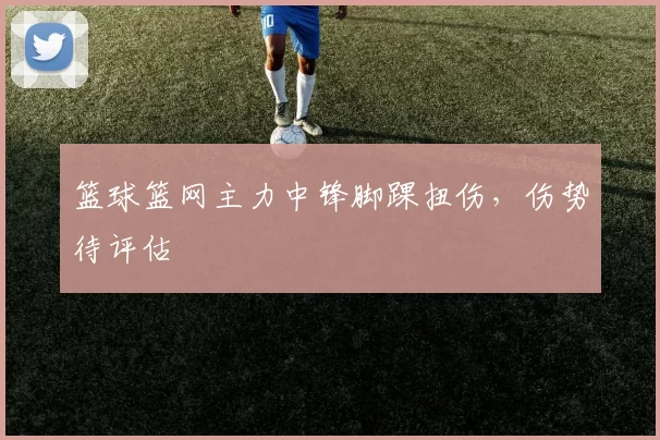 篮球篮网主力中锋脚踝扭伤，伤势待评估