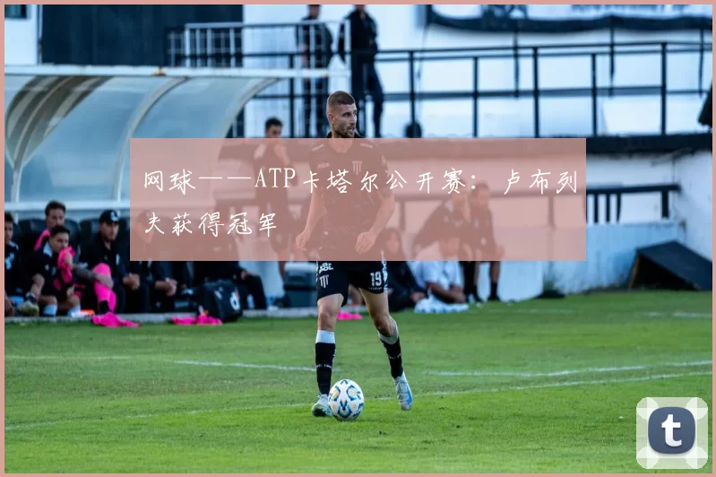 网球——ATP卡塔尔公开赛：卢布列夫获得冠军